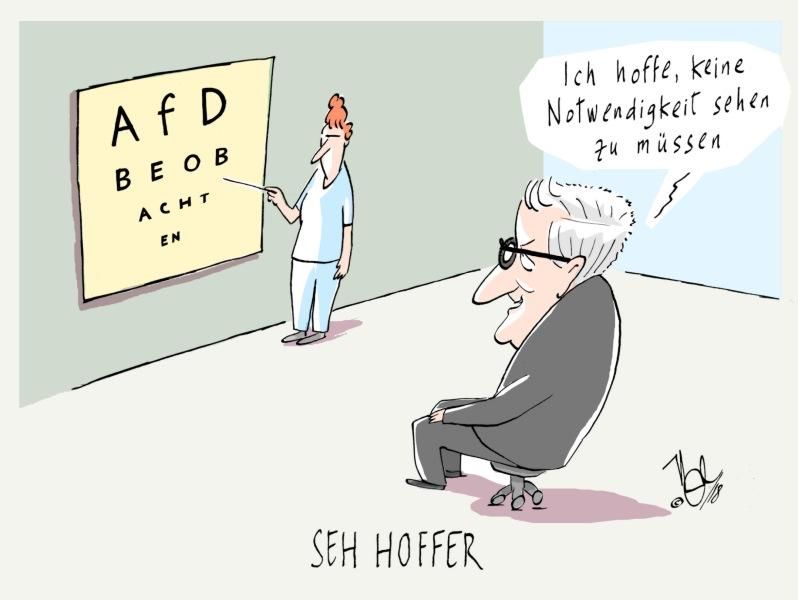 AfD beobachten seehofer