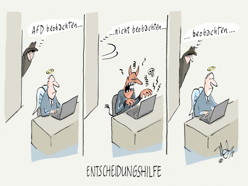 afd beobachten nicht beobachten