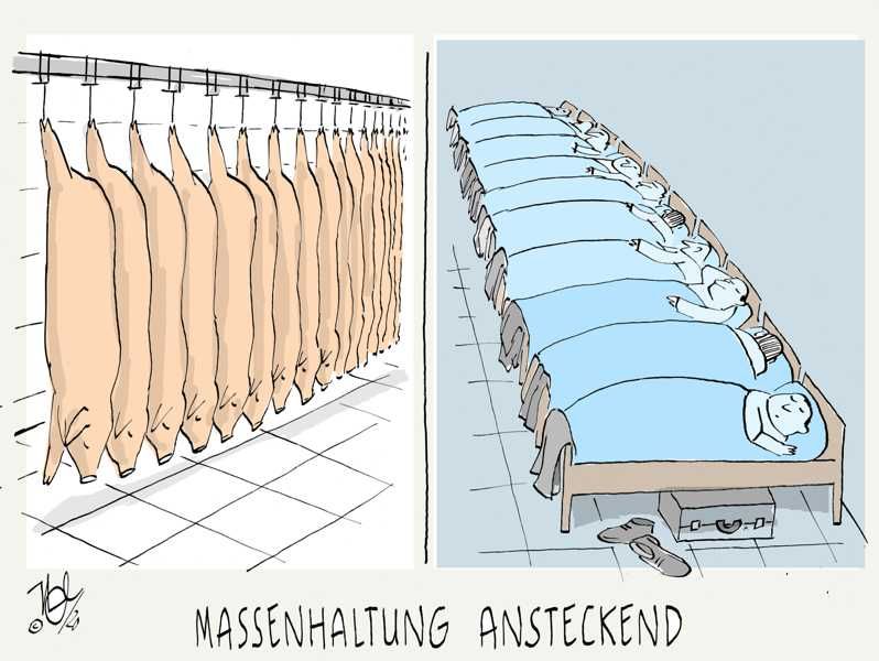 corona pandemie schlachthof massenhaltung ansteckend
