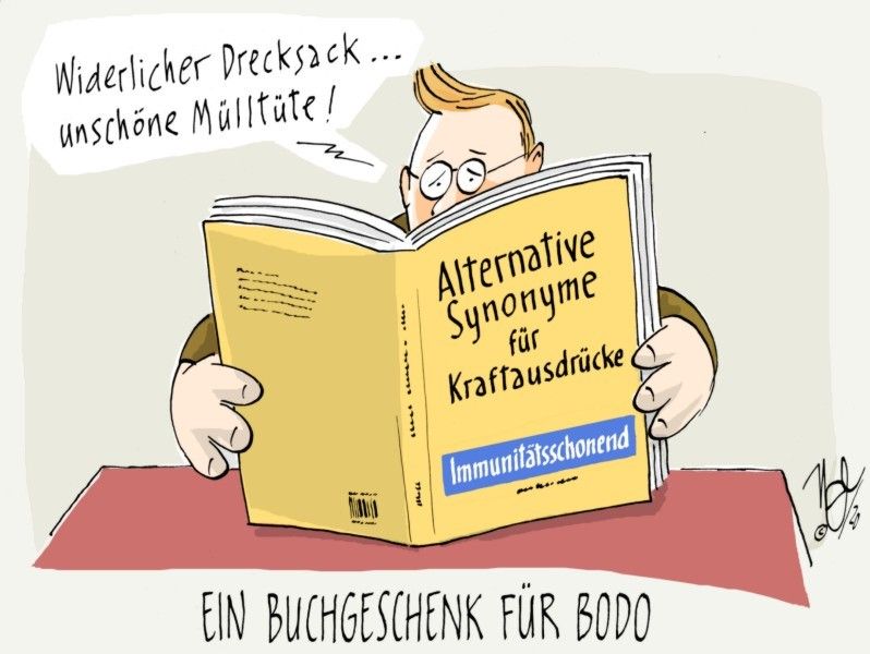 synonyme kraftausdrücke drecksack bodo buchgeschenk