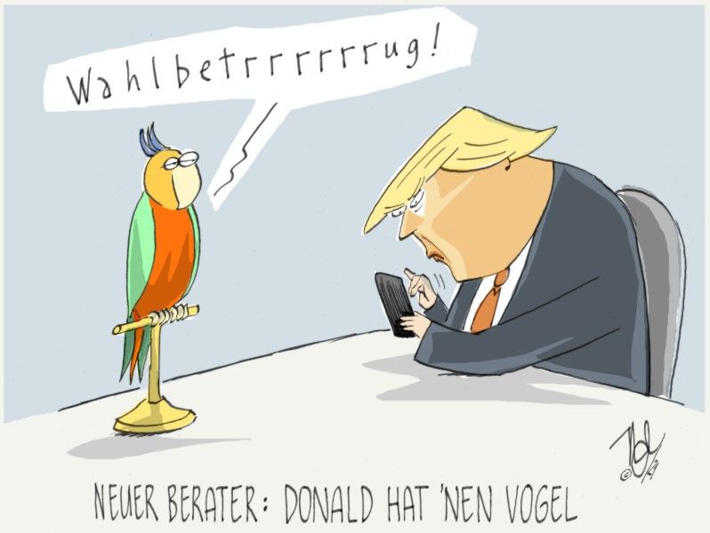 trump wahlbetrug neuer berater vogel