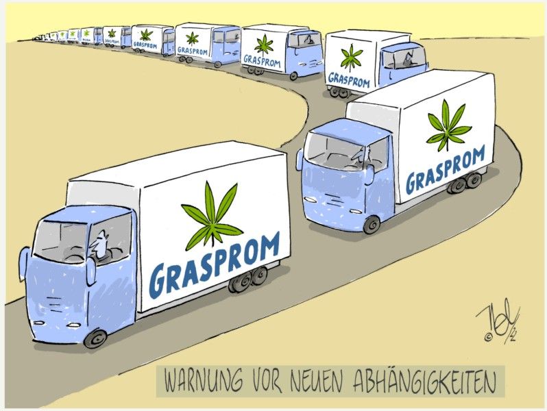 canabis freigabe legalisierung warnung abhängigkeit grasprom