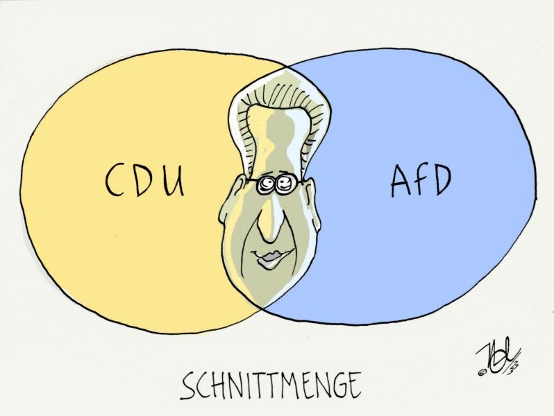 cdu afd maaßen schnittmenge