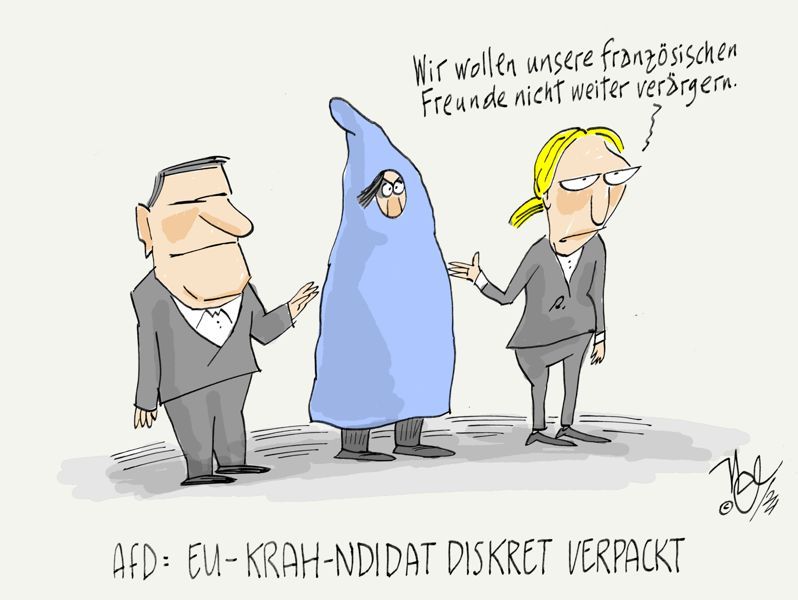 afd europa kandidat krah verpackt französische freunde