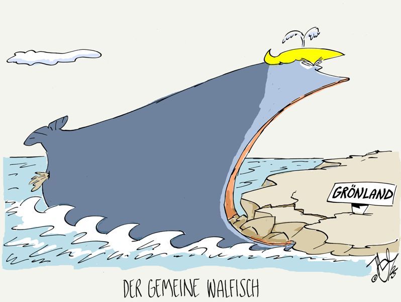 trump grönland wal gemeiner walfisch