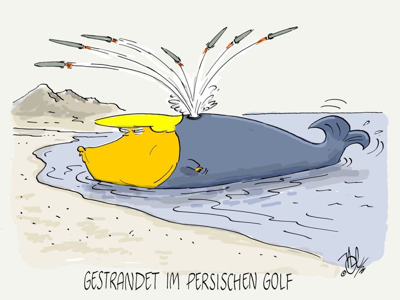 iran krieg trump wal gestrandet im persischen golf